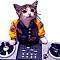 MeowMix's Avatar