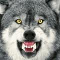 Big Bad Wolf's Avatar