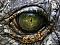 GatorEyes's Avatar