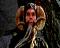Charles of the PFJ's Avatar