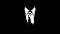Noxation's Avatar