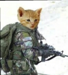 PussNBoots's Avatar
