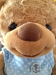 Teddy Bear's Avatar